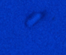 Bleu Roi